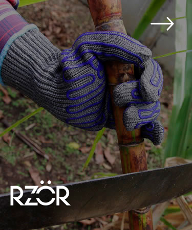 FAMILIA ROR • RZOR